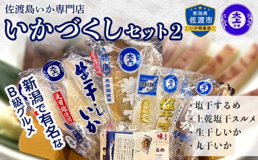 佐渡島いか専門店 いかづくしセット2 - 新潟県佐渡市｜ふるさと