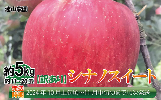 No.5657-3212]【先行予約】2024年産【訳あり品】シナノスイート 約5kg（約11～20玉）《遠山農園》□2024年発送□※10月上旬 頃～11月中旬頃まで順次発送予定 - 長野県須坂市｜ふるさとチョイス - ふるさと納税サイト