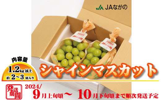 サンプル写真