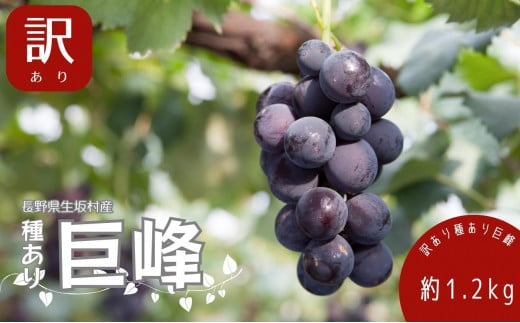 y쌧⑺zy2026N s\z 󂠂 킠苐 1.2kgi3~5[j ʕ Ԃǂ t[c