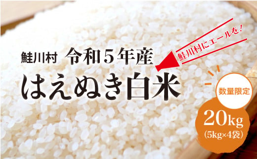 鮭川村にエールを！　令和5年産　はえぬき【白米】20kg（5kg×4袋）山形県鮭川村