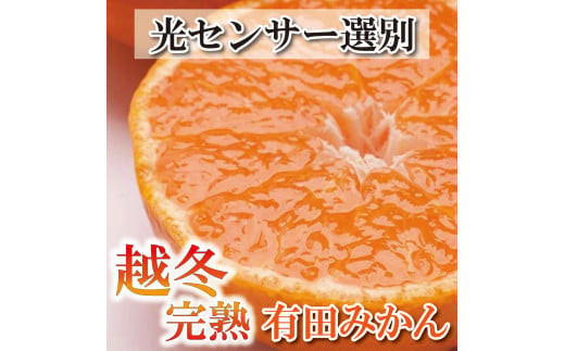 先行予約＞家庭用 越冬完熟みかん2kg+60g（傷み補償分）【ハウスみかん