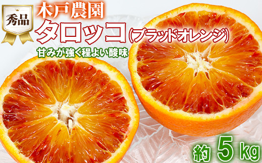 木戸農園のタロッコ（ブラッドオレンジ）約5kg（秀品） オレンジ