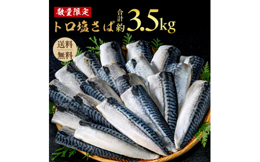 【訳あり】 トロ 塩サバ フィレ3.5kg 塩鯖 美味しいさば 魚 海鮮 家庭