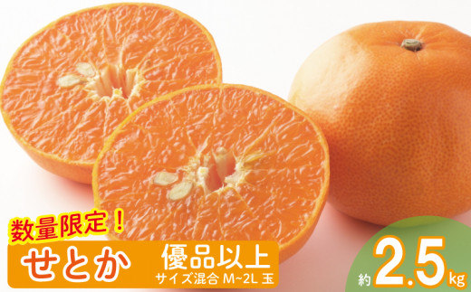 【愛媛県松山市】【2026年2月上旬から発送】せとか 優品以上 2.5kg M~2L玉 高級柑橘 みかん 柑橘 みかん フルーツ みかん ミカン みかん 蜜柑 柑橘 果物 くだもの フルーツ グルメ せとか セトカ