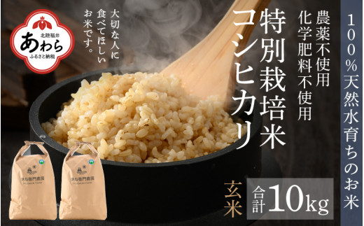R5 伊与衛門農園の特別栽培米 コシヒカリ 玄米 10kg（5kg×2袋