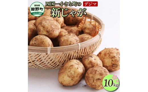 ふるさと納税 野菜類 じゃがいも 高知県 田野町 先行受付：2025