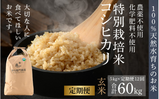 先行予約】【令和6年産】《定期便12回》コシヒカリ 玄米 5kg（計60kg