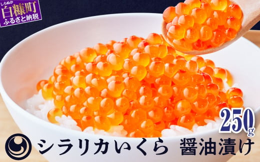 シラリカいくら(醤油味) 250g いくら イクラ 小分け 鮭いくら 鮭イクラ