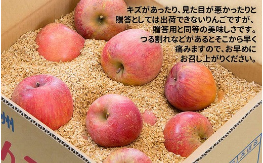農家直送】富永農園の秋のご家庭用りんご【サンふじ】約10㎏（自家用