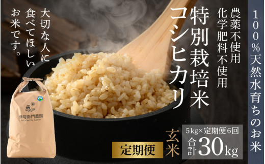令和5年度 新米【湧き水栽培】農薬不使用玄米　コシヒカリ 30㎏　奈良の農家直送無農薬玄米