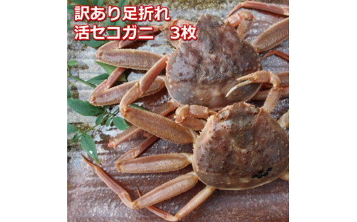 y挧Ozys\z󂠂葫܂ꂲp@{CYeKjZRK@3MK19bY 󂠂 YCKj tKj Jj I   Jj ɓ  ɂ ɂ݂ 