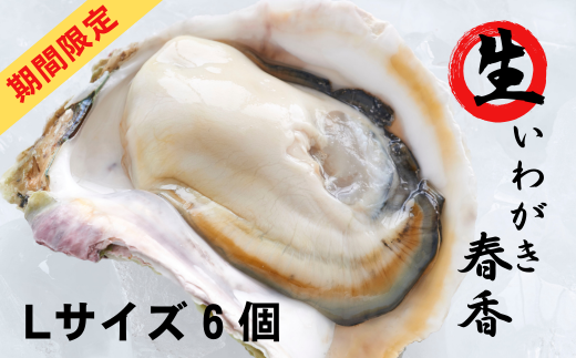 ふるさと納税「生 牡蠣 貝」の人気返礼品・お礼品比較 - 価格.com