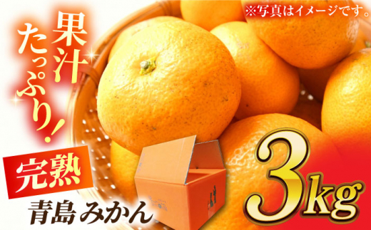 先行予約】完熟 青島 みかん 約3kg【合同会社 社方園】ミカン 熊本 3