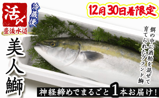 y啪sz12/30聄_o߂ł܂邲1{͂Il (1{E5kg) lu l Ԃ u  _o uh lꂽ N ܂邲 ① C̒ 啪 