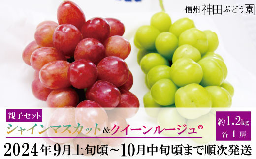 ふるさと納税「クイーンルージュ」の人気返礼品・お礼品比較 - 価格.com