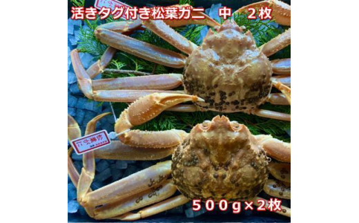 y挧Ozys\z^OttKj@@2@P500`640OMK9bY ^Ot YCKj tKj Jj I   Jj ɓ  ɂ ɂ݂ Ԍ