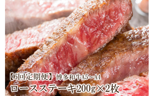 yԎszy6ցzaA5`A4 [XXe[L200g×2(v400g)y001-0345z