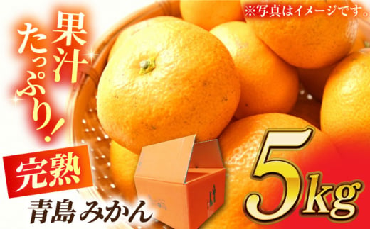 先行予約】完熟 青島 みかん 約5kg【合同会社 社方園】ミカン 熊本 5