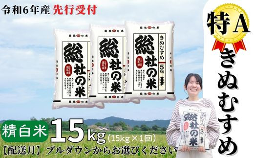令和6年産 新米 1等米 岡山県エコファーマー特A減農薬米【きぬむすめ