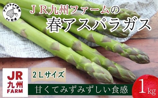 B2-153】JR九州ファームの春アスパラガス 2Lサイズ1kg 野菜 新鮮