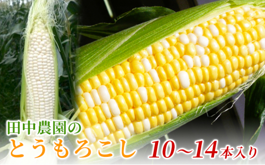 田中農園のとうもろこし（10～14本入り） - 静岡県森町｜ふるさとチョイス - ふるさと納税サイト