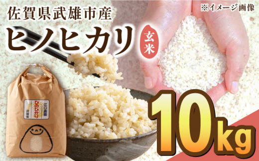 新米】令和6年度長崎県産ヒノヒカリ玄米10キロ【No.15】