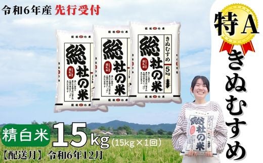 令和6年産米】特Aきぬむすめ【精白米】15kg 岡山県総社市産〔令和6年12