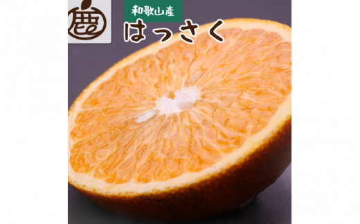 ＜先行予約＞厳選 はっさく2.5kg+75g（傷み補償分）【八朔みかん】＜1月より発送＞※北海道・沖縄・離島への配送不可