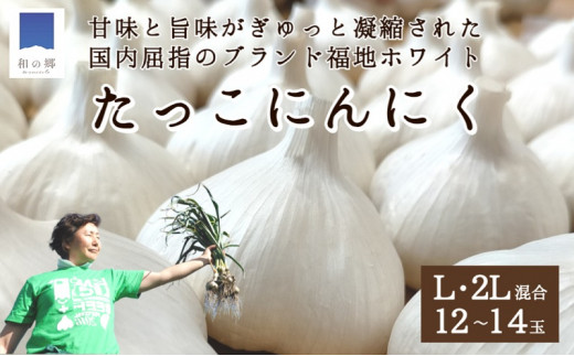 日本一たっこにんにく・12～14玉（青森県田子町産にんにくL～2L