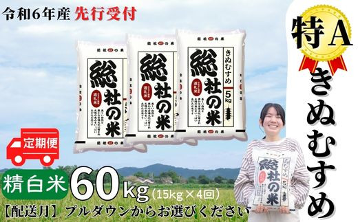 数量限定】きぬむすめ(令6年産)20㎏以上‼︎
