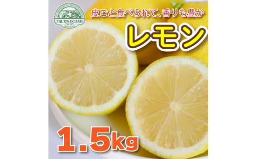 レモン 約 1.5kg 12個 檸檬 フルーツ 果物 くだもの 柑橘 国産 新鮮 減