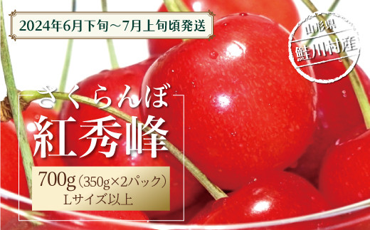 ［2024年6月下旬～発送］　鮭川村のさくらんぼ＜紅秀峰＞　700g