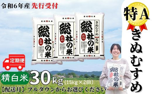 令和6年産米】特Aきぬむすめ【精白米】30kg 定期便（15kg×2回）岡山県