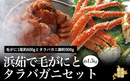カニ 活〆浜茹で毛がにとタラバガニセット 蟹 カニ 約1.5kg【 ふるさと納税