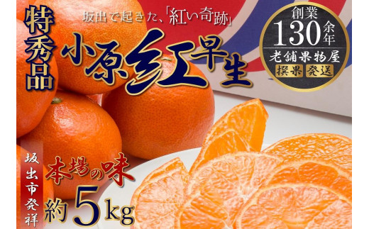 【香川県坂出市】特秀品!小原紅早生みかん 約5kg【坂出発祥の真っ紅なお蜜柑】