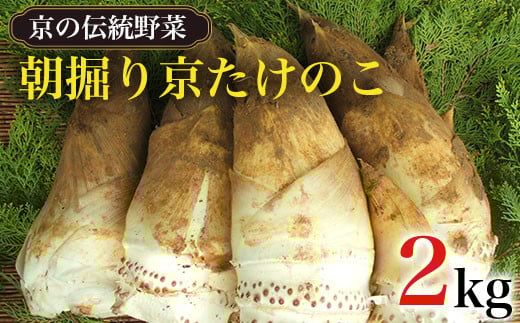 うっち　京都 長岡京　白子たけのこ　朝堀り タケノコ　筍　3kg 2026年3月中旬より順次発送予定】【京の伝統野菜】朝掘り京