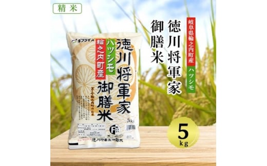 2024年2月発送開始『定期便』＜岐阜県輪之内町産米ハツシモ＞徳川将軍家御膳米・5kg×全6回【5140552】 - 岐阜県輪之内町｜ふるさとチョイス  - ふるさと納税サイト