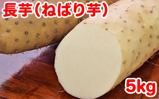 長芋（ねばり芋）5kg【2023年12月下旬～順次発送予定】 - 新潟県聖籠町