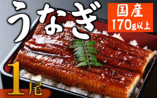 数量限定】海土のうなぎの蒲焼き １尾 ウナギ 鰻 惣菜 冷凍 おかず 10000円 １万円 魚介 訳あり - 高知県室戸市｜ふるさとチョイス -  ふるさと納税サイト