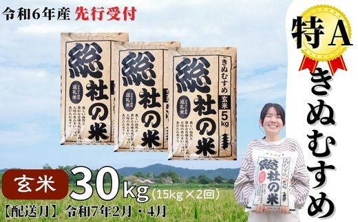 令和6年産米】特Aきぬむすめ【玄米】30kg 定期便（15kg×2回）岡山県