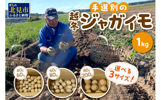 高級ジャガイモ　特売　20kg 20キロ 01 ジャガイモ20kg | 北海道ニセコ町の農家 多田農園