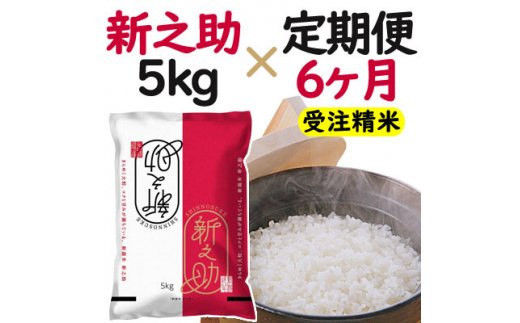 ふるさと納税】米 ６ヶ月定期便 令和５年産 新潟 新之助 ５kg 白米