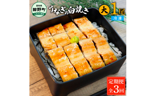 田野町産うなぎの白焼き(大) 1尾×3回 定期便 3ヶ月 定期コース 1尾あたり120～150g タレ付き 山椒付き うなぎ 鰻 ウナギ 白焼 無頭  おいしい 国産 個包装 お取り寄せ 冷凍 配送