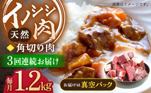 6回定期便】ジビエ 天然イノシシ肉 バラエティ総量6.0kg【照本食肉加工