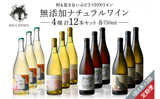 無添加ナチュラルワイン 2022年ヴィンテージ3種セット IKKA WINES【301