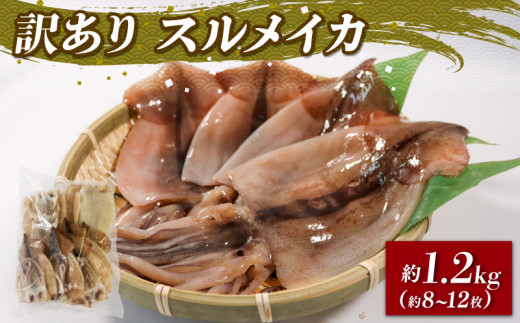 大人気！』真いかするめ足【2kg】