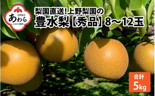 先行予約】上野梨園の豊水梨 8～12玉入 約5kg 4L～6L【秀品】《数量