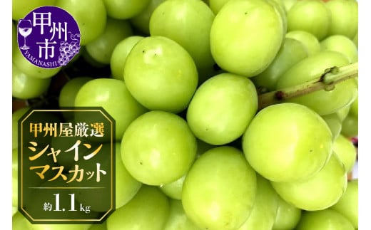 甲州屋厳選 シャインマスカット 約1.1kg【2024年発送】 B-116 - 山梨県甲州市｜ふるさとチョイス - ふるさと納税サイト