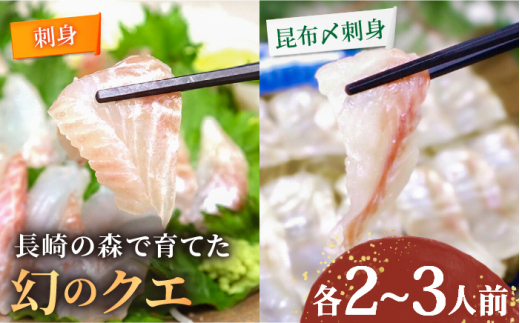 長崎の森で育てた『幻のクエ』 刺身用 約200g、昆布〆 刺身用 約200g 各2〜3人前 長崎市/水産未来研究所 [LHC009]